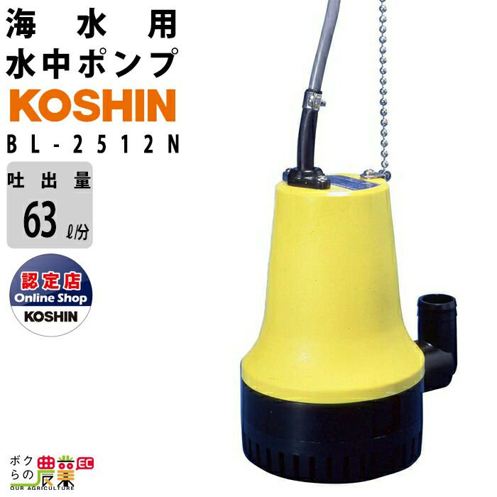 工進(KOSHIN) 清水用水中ポンプ 高圧ポンディ 50Hz用 SM-525H - 2