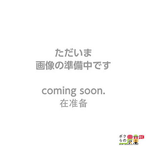 エンジンポンプ 1.5インチ MLP4041E 丸山製作所 ポンプ 4サイクル 吐出