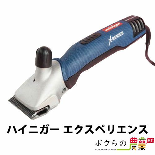 ペッパー天正菱大判？　参考品　レプリカ　金属工芸品 重量約130g　箱付き ハイニガーエクスペリエンスならボクらの農業EC