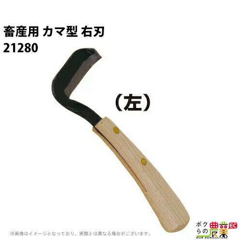 畜産用 カマ型 Sサイズ 右刃 削蹄用具 21282 牛用 削蹄 削蹄用品 爪切り つめ切り 蹄 畜産 酪農 牧畜 産業動物 牛 家畜 畜産用品 酪農 用品 乳牛 和牛 | ボクらの農業EC本店