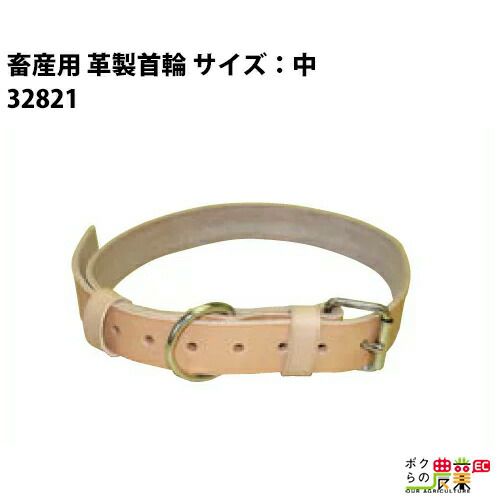 000000002954-01-m.jpg?t=
