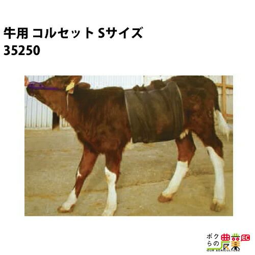 牛用 ジャケット ぽかぽカウ バックル サイズ S M L S-37500 M