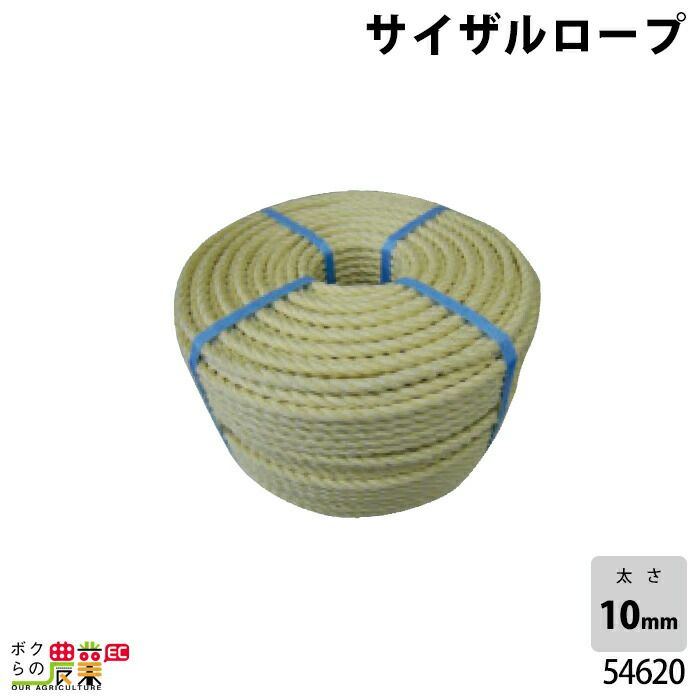 門田千明 Chiaki Kadota なぞり 一点もの unique