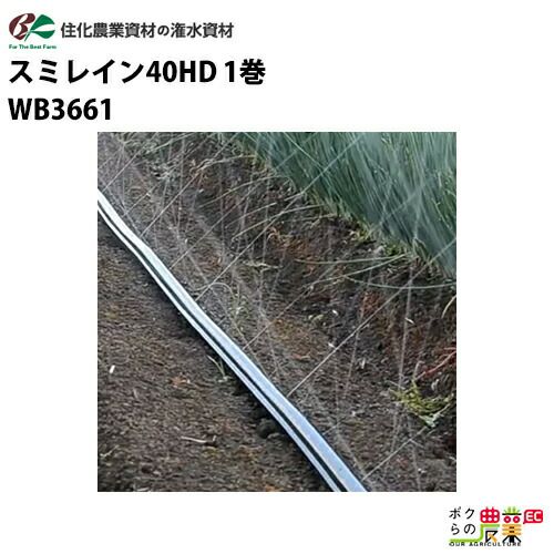 スミレイン40 100m 潅水チューブ 灌水チューブ スミレイン40 100m巻 噴霧散水タイプ WB3611 灌水チューブ