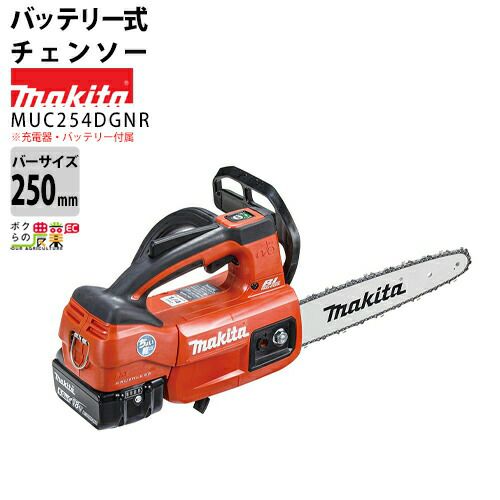 000000009882-01-l.jpg?t=