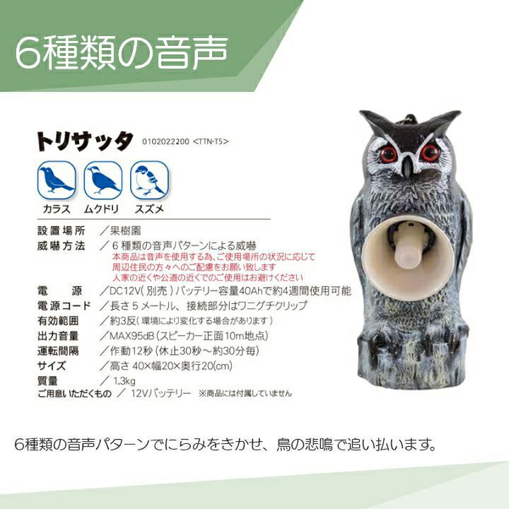 テーマ別特訓ノート　電流・天体・植物動物 テーマ別特訓ノート理科植物・動物: 国立・私立中学受験 | 学習