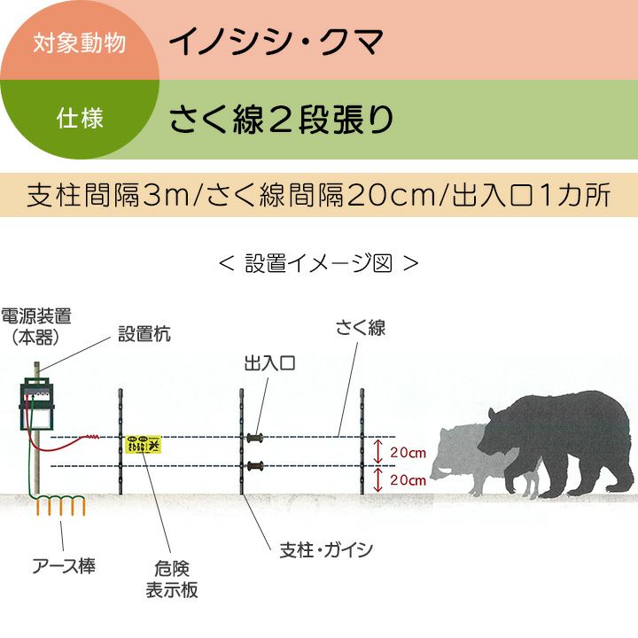 000000012431-03-l.jpg?t=