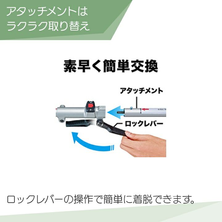 まめ吉さん専用 71Lf70LN7dL._UF350,350_QL50_.jpg