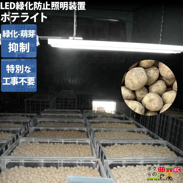 赤外線 畜産用ヒーター ミニぽか HCM-1024A 100V メトロ電気工業株式