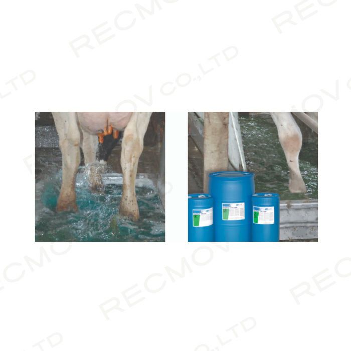 畜産用 蹄ケア洗浄剤 CSE-200ステップセプト 15ガロン 牛 洗剤 搾乳 乳牛 ボクらの農業EC本店
