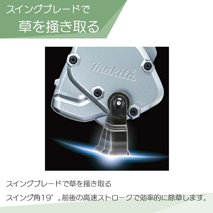 000000015557-03-l.jpg?t=