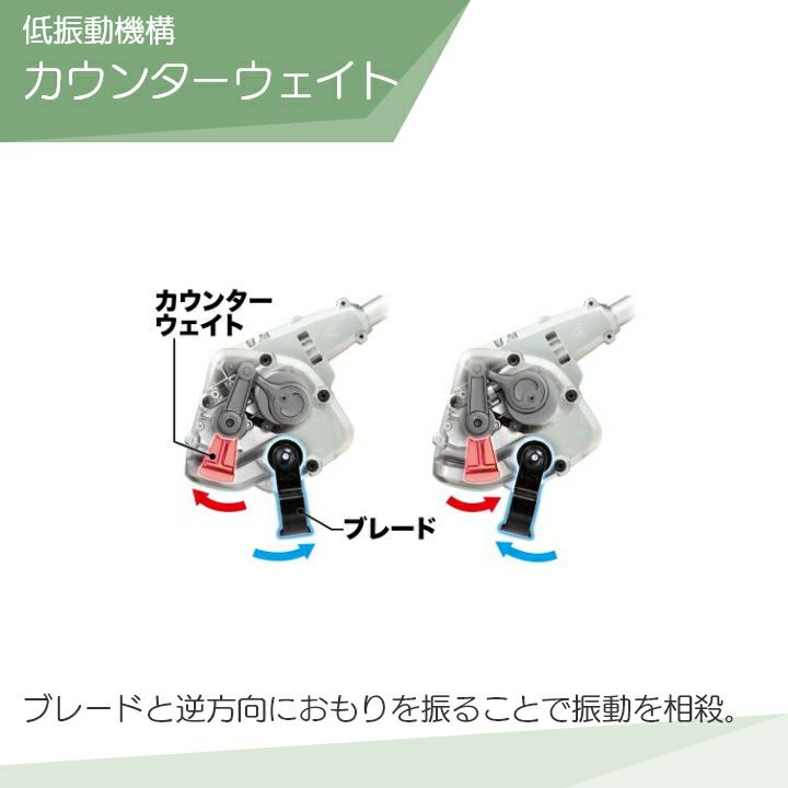 000000015557-04-l.jpg?t=